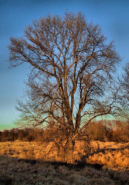 Kliknij na zdjęcie, żeby zobaczyć w pełnych wymiarach