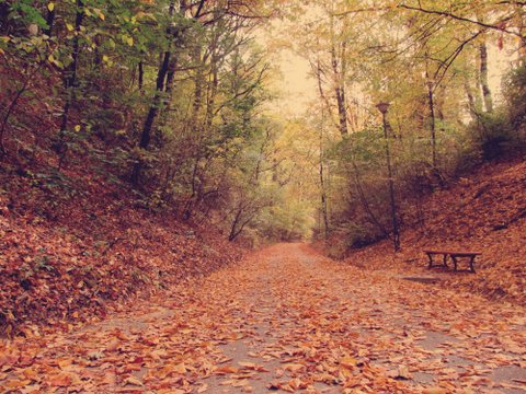 Kliknij na zdjęcie, żeby zobaczyć w pełnych wymiarach