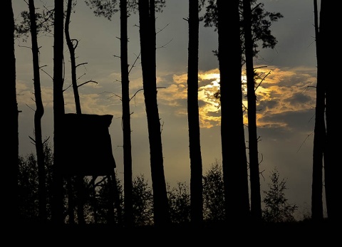 Kliknij na zdjęcie, żeby zobaczyć w pełnych wymiarach