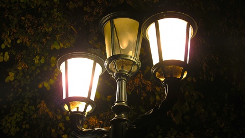 Kliknij na zdjęcie, żeby zobaczyć w pełnych wymiarach