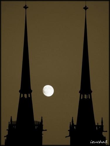 Kliknij na zdjęcie, żeby zobaczyć w pełnych wymiarach