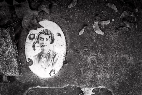 Kliknij na zdjęcie, żeby zobaczyć w pełnych wymiarach