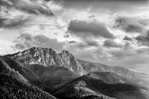 Kliknij na zdjęcie, żeby zobaczyć w pełnych wymiarach