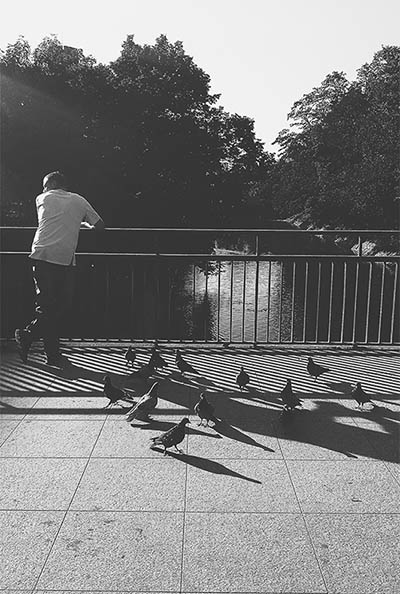 Kliknij na zdjęcie, żeby zobaczyć w pełnych wymiarach