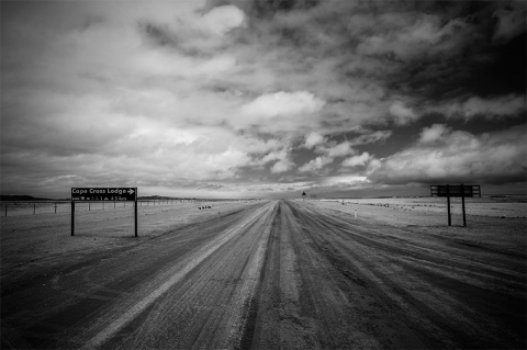 Kliknij na zdjęcie, żeby zobaczyć w pełnych wymiarach