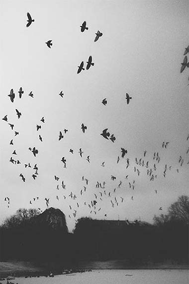 Kliknij na zdjęcie, żeby zobaczyć w pełnych wymiarach