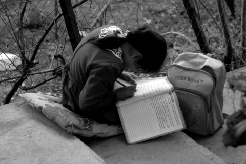 Kliknij na zdjęcie, żeby zobaczyć w pełnych wymiarach