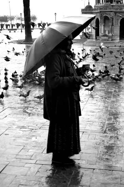 Kliknij na zdjęcie, żeby zobaczyć w pełnych wymiarach