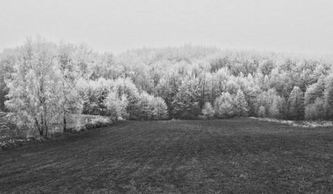 Kliknij na zdjęcie, żeby zobaczyć w pełnych wymiarach