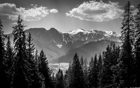 Kliknij na zdjęcie, żeby zobaczyć w pełnych wymiarach