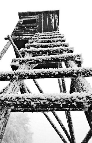 Kliknij na zdjęcie, żeby zobaczyć w pełnych wymiarach