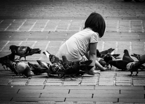 Kliknij na zdjęcie, żeby zobaczyć w pełnych wymiarach