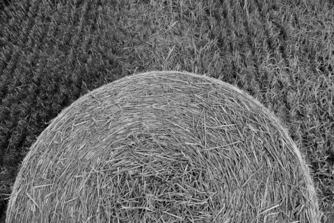 Kliknij na zdjęcie, żeby zobaczyć w pełnych wymiarach