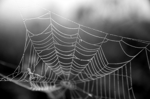 Kliknij na zdjęcie, żeby zobaczyć w pełnych wymiarach