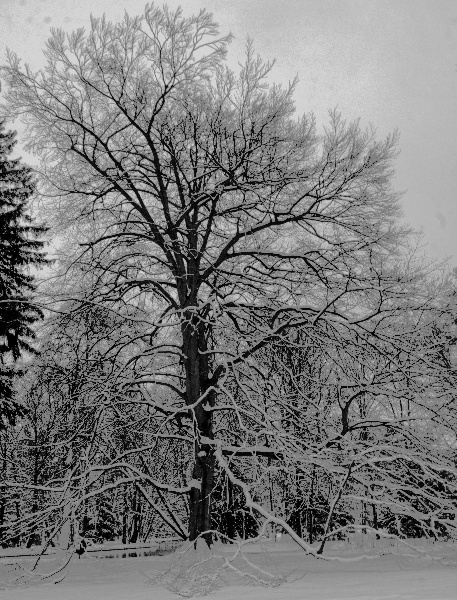 Kliknij na zdjęcie, żeby zobaczyć w pełnych wymiarach