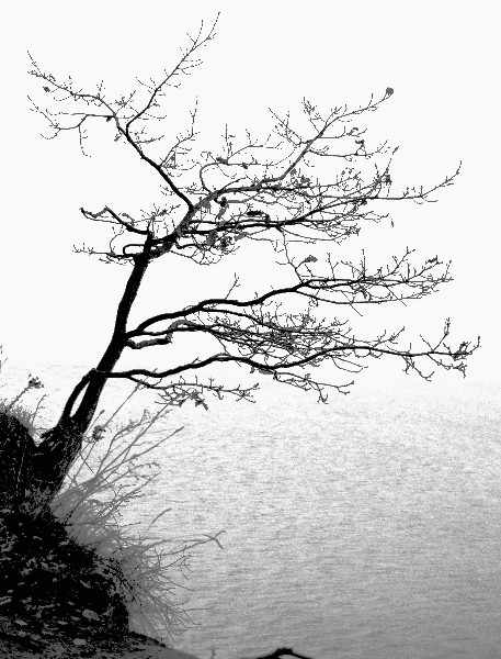 Kliknij na zdjęcie, żeby zobaczyć w pełnych wymiarach