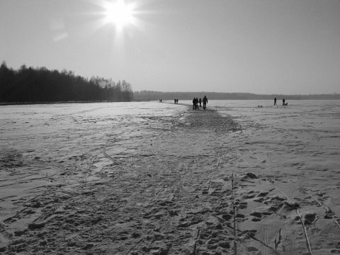 Kliknij na zdjęcie, żeby zobaczyć w pełnych wymiarach