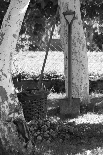 Kliknij na zdjęcie, żeby zobaczyć w pełnych wymiarach