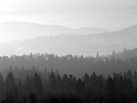 Kliknij na zdjęcie, żeby zobaczyć w pełnych wymiarach