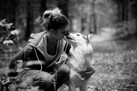 Kliknij na zdjęcie, żeby zobaczyć w pełnych wymiarach