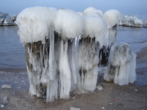 Kliknij na zdjęcie, żeby zobaczyć w pełnych wymiarach
