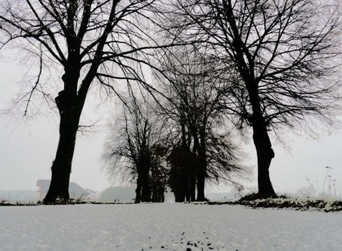 Kliknij na zdjęcie, żeby zobaczyć w pełnych wymiarach