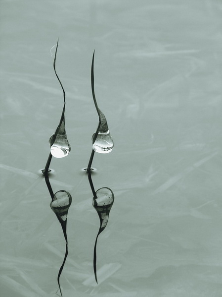 Kliknij na zdjęcie, żeby zobaczyć w pełnych wymiarach