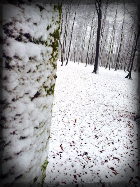 Kliknij na zdjęcie, żeby zobaczyć w pełnych wymiarach