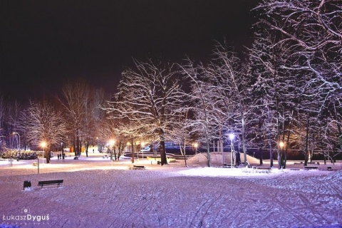 Kliknij na zdjęcie, żeby zobaczyć w pełnych wymiarach