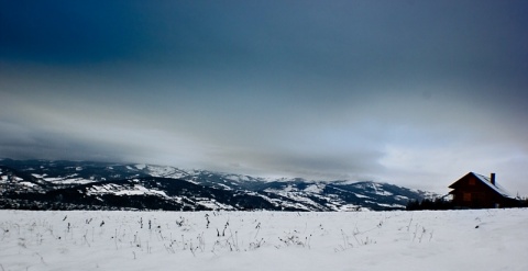 Kliknij na zdjęcie, żeby zobaczyć w pełnych wymiarach