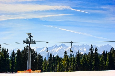 Kliknij na zdjęcie, żeby zobaczyć w pełnych wymiarach