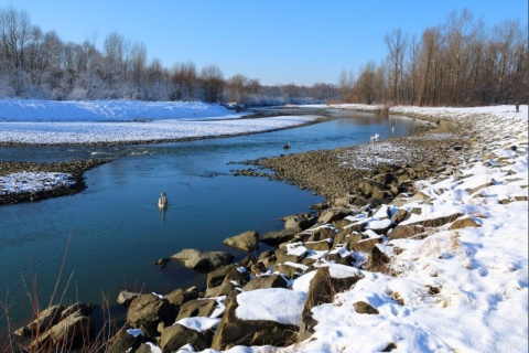 Kliknij na zdjęcie, żeby zobaczyć w pełnych wymiarach