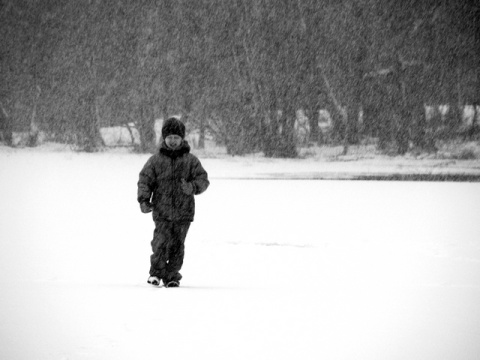 Kliknij na zdjęcie, żeby zobaczyć w pełnych wymiarach