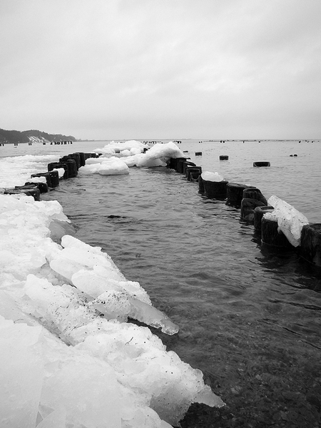 Kliknij na zdjęcie, żeby zobaczyć w pełnych wymiarach