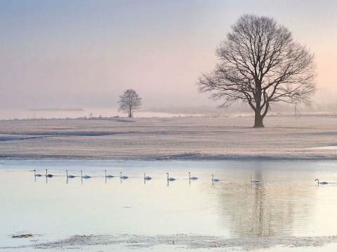 Kliknij na zdjęcie, żeby zobaczyć w pełnych wymiarach