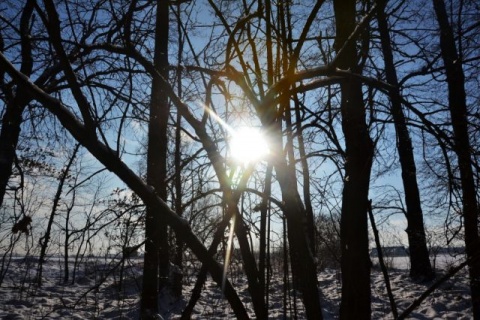Kliknij na zdjęcie, żeby zobaczyć w pełnych wymiarach