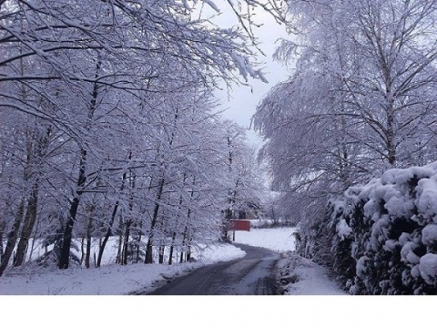 Kliknij na zdjęcie, żeby zobaczyć w pełnych wymiarach