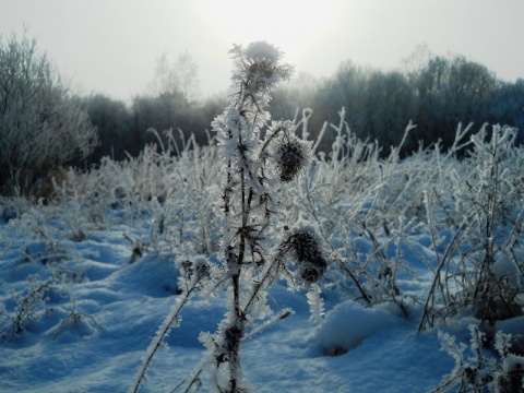 Kliknij na zdjęcie, żeby zobaczyć w pełnych wymiarach