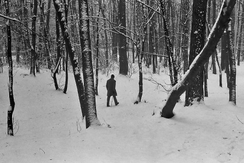 Kliknij na zdjęcie, żeby zobaczyć w pełnych wymiarach