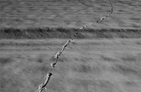 Kliknij na zdjęcie, żeby zobaczyć w pełnych wymiarach