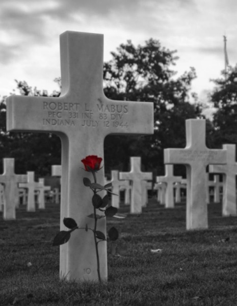 Kliknij na zdjęcie, żeby zobaczyć w pełnych wymiarach