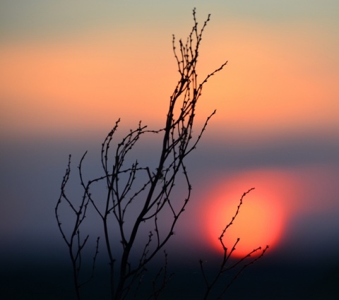 Kliknij na zdjęcie, żeby zobaczyć w pełnych wymiarach