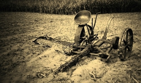 Kliknij na zdjęcie, żeby zobaczyć w pełnych wymiarach