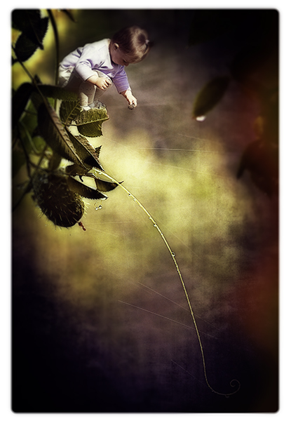 Kliknij na zdjęcie, żeby zobaczyć w pełnych wymiarach