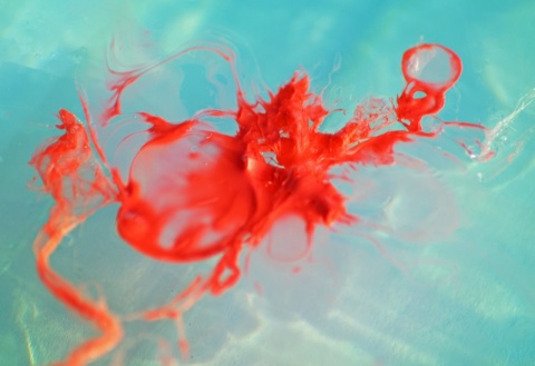 Kliknij na zdjęcie, żeby zobaczyć w pełnych wymiarach