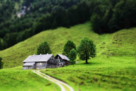 Kliknij na zdjęcie, żeby zobaczyć w pełnych wymiarach