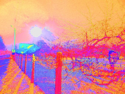 Kliknij na zdjęcie, żeby zobaczyć w pełnych wymiarach