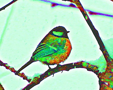 Kliknij na zdjęcie, żeby zobaczyć w pełnych wymiarach