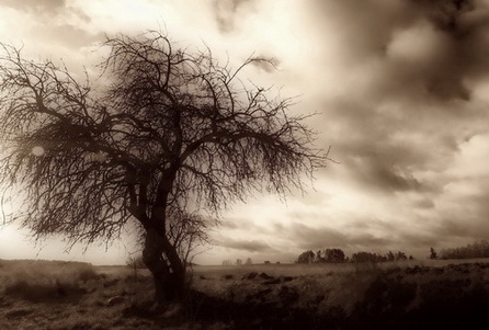 Kliknij na zdjęcie, żeby zobaczyć w pełnych wymiarach