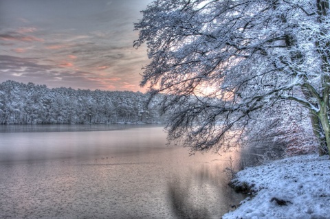 Kliknij na zdjęcie, żeby zobaczyć w pełnych wymiarach